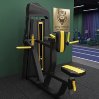 Équipement de musculation de haute qualité, directement de l'usine, pour salle de sport commerciale et usage domestique, machine verticale pour le dos avec garantie