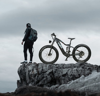 Vélo électrique de montagne pour adultes, frein à disque hydraulique haute puissance, logo personnalisé, 500D, vente en gros, usine OEM Chine