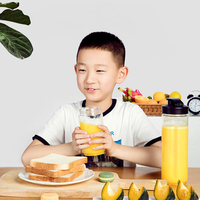 BRL-6055 Mini Commerciële Elektrische Draagbare Smoothie Voedsel Fruit Mixer Blender Juicer