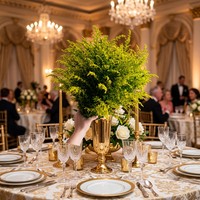 Fleur de Solidago jaune coupée fraîchement, idéale pour la décoration d'événements, les cadeaux d'entreprise, les mariages en extérieur, les halls d'hôtel – Gloire Dorée