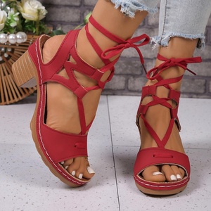 Chaussures de mariage pour femmes style européen et américain 2026, sexy, été/hiver, légères, à talon compensé ultra-haut, à brides croisées en T, style coréen - Product Image 2