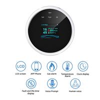 Détecteur de fuite de gaz domestique WIFI Graffiti pour cuisine - Alarme de gaz inflammable