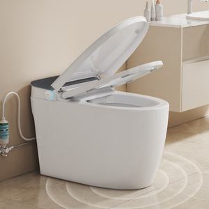<span class=keywords><strong>WC</strong></span> intelligents, accessoires noirs, cuvette Toto, siège de toilette, commode dorée, <span class=keywords><strong>Geberit</strong></span> - Product Image 1