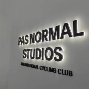 Enseigne LED 3D avec lettres en acrylique rétroéclairées, panneau arrière en acier inoxydable, enseigne à lettres en relief LED - Product Image 1