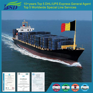 Envío de Carga Marítima Puerta a Puerta DDP desde China a Baréin a través de LCL+Express con Soporte 24/7 - Product Image 5