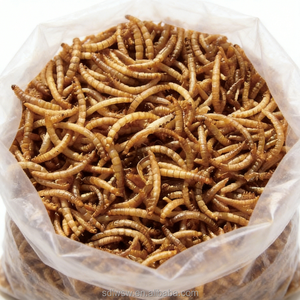 Vers de farine jaunes séchés 100% naturels, nourriture pour animaux de compagnie riche en protéines pour oiseaux, poulets, poissons, hamsters - Product Image 3