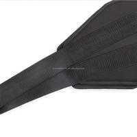 Sangles Abdominales avec Mousqueton et Sangle de Suspension, Appareil d'Entraînement Abdominal Ajustable pour Exercices de Core, Équipement de Gym pour Barre de Traction