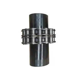 New Design Durable 5022 8018 10020 Wear Resistant Customized Good Performance Roller Chain Flexible Coupling