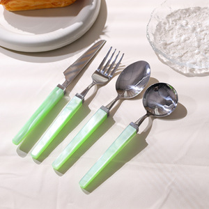 Jinhui <b>Acrylic</b> Cutlery Set Stainless Steel <b>Mirror</b> Polished Solid Color Simple Style Dinnerware Set - Product Image 4