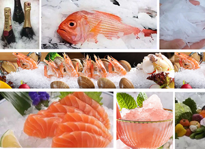 Industriële Roestvrijstalen Vlok Ijsmachine 5 Ton Capaciteit Vlok Ijsmachine - Product Image 4