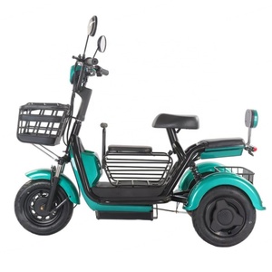 New Adult Three Wheeled Electric Vehicle with 48V Lead-acid Battery 500W Open Two Seater Electric Tricycle - Product Image 4