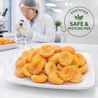 Graad A Halal IQF Diepvries Abrikozenhelften Groothandel |   100% natuurlijk vers gesneden abrikozenvlees voor jam, bakkerijproducten & smoothies