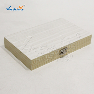 Ensemble de spécimens fossiles animaux, modèle anatomique en PVC pour l'enseignement des sciences médicales - Product Image 3