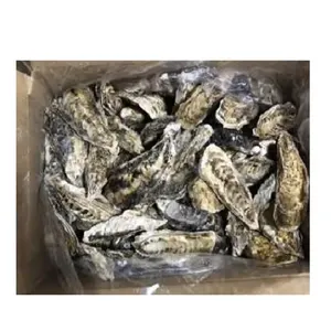 Grilled Steamed Oysters Best Seafood Product Shellfish Frozen