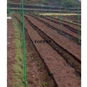Horticultural Fiberglass Pipes, Fiberglass Agricultural Support <b>Poles</b>, Tree Support <b>Poles</b> - Product Image 2