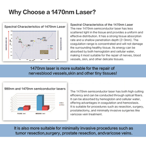 Máquina de Endoláser en Oferta para Rostro y Cuerpo 980 1470, Lifting Facial, Eliminación de Grasa, Eliminación de <span class=keywords><strong>Arañas</strong></span> <span class=keywords><strong>Vasculares</strong></span>, Máquina Láser Endolift - Product Image 2
