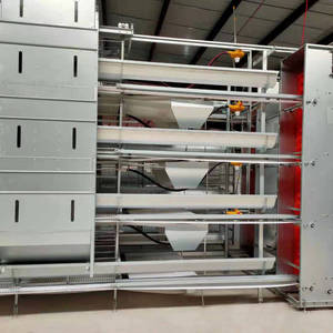 Cage de poulet couche de type H entièrement automatisée pour les pondeuses élevage de volailles cages de batterie automatiques pour œufs poulets ferme cage de poulet - Product Image 4