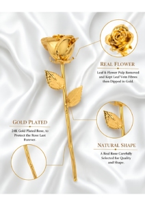 Rose naturelle véritable trempée dans l'or 24 carats, finition électro-plaquée, design élégant et emballage luxueux, idéal pour un cadeau - Product Image 6
