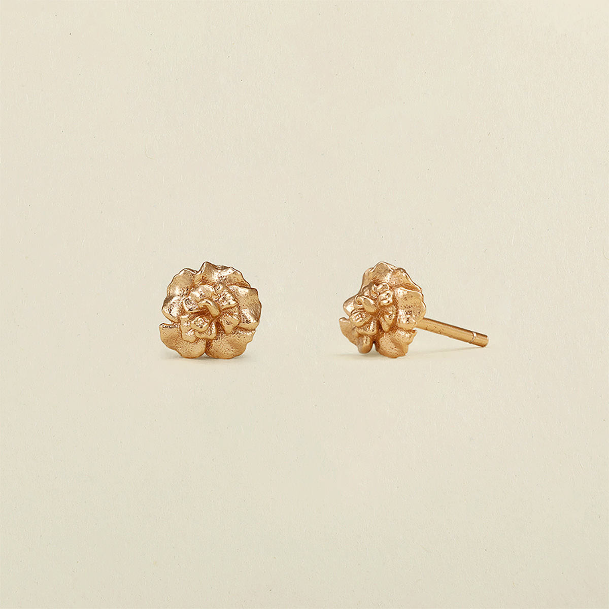 January Carnation-gold