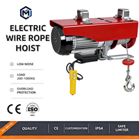 Mini-treuil électrique sans fil de qualité industrielle CE 110V 220V à assemblage rapide pour opérations d'entrepôt