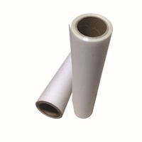 HyperTransprint 30cm A3 DTF Gang Sheet, Película PET de Doble Cara, Papel de Transferencia Térmica de Despegue Instantáneo, Negro, para Ropa, Digital