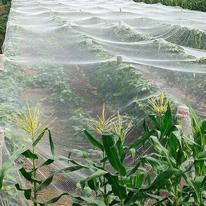 <strong>Insect</strong> Netting Anti UV Agriculture Greenhouse <strong>Mesh</strong> for Greenhouse Vegetable Garden Plants Care Anti <strong>Insect</strong> Net - Product Image 4