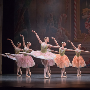 Robe tutu de ballet romantique à strass floraux Le Casse-Noisette, costume de performance professionnel de ballerine pour la Valse des Fleurs - Product Image 5