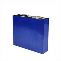 Batterie lithium LiFePO4 32V multi-capacité Ruipulan neuve pour véhicules électriques -20 60