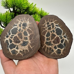 Venta al por Mayor de Losas de Piedra con Patrón de Tortuga Natural, Cuarzo Reiki Curativo de Buena Calidad para Colección de Hogar u Oficina - Product Image 2