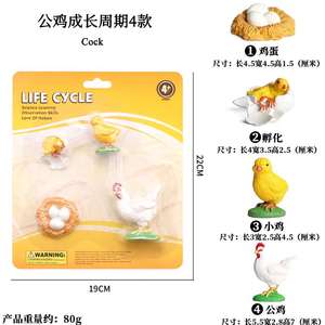 Yxs niños Montessori enseñanza SIDA simulación vida silvestre modelo Gallo tortuga ciclo <span class=keywords><strong>de</strong></span> crecimiento Juguetes - Product Image 6