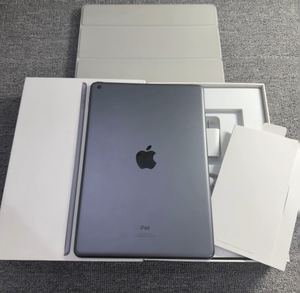Pad de 9.ª Generación, 10 Pulgadas, 64 GB SSD, Gris Espacial, AMD Ryzen 3, Windows 10 - Product Image 1