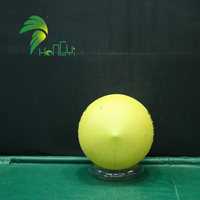 Ballon publicitaire gonflable personnalisé en forme de fruit Hongyi 2026, en bâche PVC, avec LED, motif citron