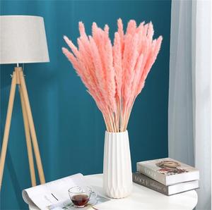 Decoración Vintage de lujo para oficina y hogar, flores secas pequeñas y rosas, hierba Pampas para decoración de boda, gran oferta - Product Image 4