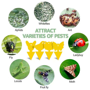 Trampas Adhesivas Amarillas para Insectos Voladores de Plantas |   Trampa para Moscas de la Fruta y Mosquitos del Hongo - Product Image 6