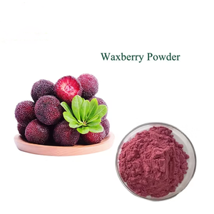 ヤマモモ（紅ヤマモモ、ワックスベリー、ベイベリー）の果実粉末 - Product Image 3