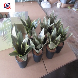 Productinspectiedienst voor kunstplantenbladeren, kwaliteitscontrole <span class=keywords><strong>in</strong></span> <span class=keywords><strong>China</strong></span>, productinspectie <span class=keywords><strong>in</strong></span> Zhejiang - Product Image 2