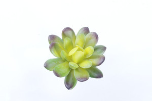 Artificial plantas suculentas de una sola pieza de alta calidad de plástico <span class=keywords><strong>planta</strong></span> real touch plantas hermosa de <span class=keywords><strong>planta</strong></span> - Product Image 6