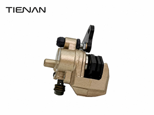 Étrier <span class=keywords><strong>de</strong></span> <span class=keywords><strong>frein</strong></span> <span class=keywords><strong>de</strong></span> moto, style <span class=keywords><strong>NISSIN</strong></span>, doré, hydraulique avant, 2 pistons, étrier <span class=keywords><strong>de</strong></span> <span class=keywords><strong>frein</strong></span> à disque pour Honda Yamaha Suzuki Kawasaki - Product Image 2