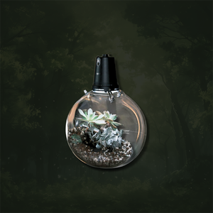 Opcom Boerderij Microgroene Bal-Microlandschap Aanplant Mos/Vetplanten Eco-Plantbal - Product Image 3