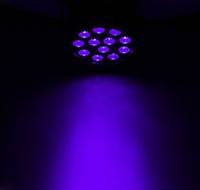 Mini projecteur UV LED violet 12 LED 36W pour scène et DJ de club