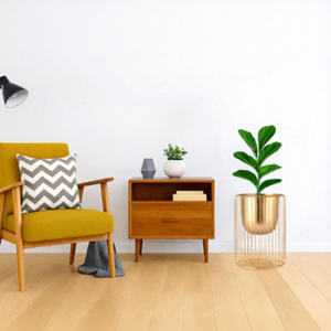 Soporte Moderno para Plantas de Metal Dorado con Base de Jaula de Alambre para Decoración Interior del Hogar - Product Image 6