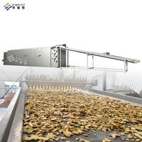 Ligne de séchage à énergie solaire économie d'énergie pour fruits légumes herbes fruits de mer viande grain riz nouilles pâtes