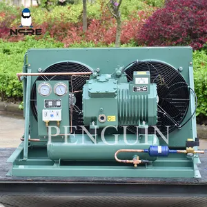 3hp 4hp 5hp 6hp 7.5hp 10hp 12hp 20hp Refrigeration Condenser Unit Air Cooled Freezer Condensing Freezing Units For Cold Room