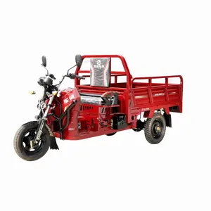 Triciclo motorizado con motor de 110CC barato de fábrica, vehículos de pasajeros para adultos, motocicleta de tres ruedas, triciclo de carga, se acepta personalizado