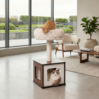 Maison pour chat en bois de rotin synthétique écologique de luxe avec griffoir et design palmier