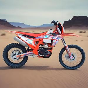 새로운 모델 오리지널 V8 Pro NB300 수냉식 대형 오프로드 오토바이 300cc 핏 바이크 먼지 자전거 300cc - Product Image 2