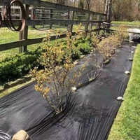 Tissu de couverture de sol hydrophile en tapis anti-mauvaises herbes en PP aiguilleté avec service de découpe pour l'aménagement paysager agricole