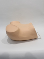 Modèle d'examen gynécologique pour femme adulte, taille réelle, PVC, pour ressources pédagogiques en obstétrique et gynécologie, CE ISO ROHS CNAS