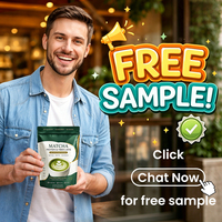 Latte Protéiné et Fibres Matcha Marque Blanche – Substitut de Repas Riche en Protéines 20g – Poudre de Protéine de Lactosérum pour la Satiété et le Soutien Métabolique
