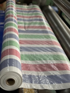 Bâche en PE rayée, imperméable, durable, sur mesure, avec service de découpe, pour usage industriel et extérieur - Product Image 6